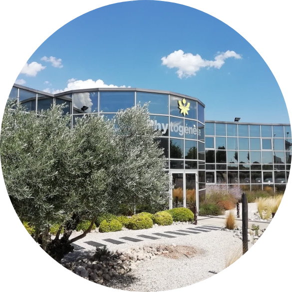 Laboratoires Phytogénèse